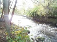 Scully's Field, Milltown, Dublin
